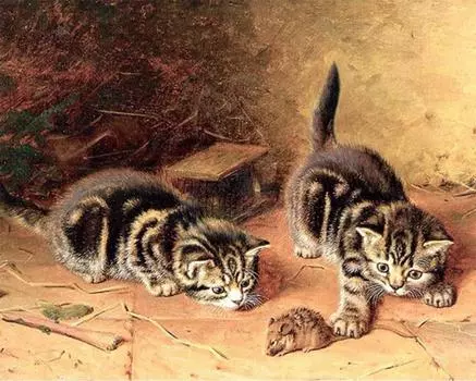 5D DIY Алмазная картина Милый кот Алмазная вышивка Животные Цифровые наклейки Вышивка крестом Домашний декор 20X30CM