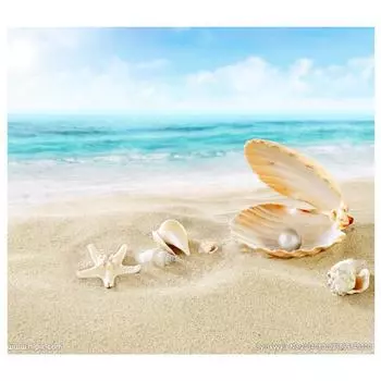 5D Diy Алмазная картина Морские ракушки Алмазная вышивка Крестом Домашний декор Подарки ручной работы Round 20x30cm
