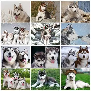 5D Diy Алмазная картина Мозаика Собака Хаски Вышивка крестом Набор Животное Полный Квадрат/Круглый Домашний Декор Full Round 20x30CM