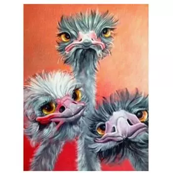 5D DIY Алмазная картина Мультфильм страуса Вышивка крестиком 5D Домашний декор Подарок Full Round 20x30CM