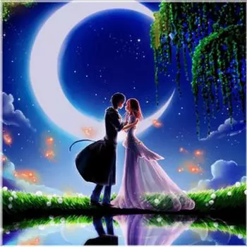5D Diy Алмазная картина Мультфильм пара под луной Вышивка крестом Домашний декор Ручная работа 25x25cm