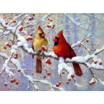 5D DIY Алмазная картина Набор Санта-Клаус Полный квадратный дрель Алмазная вышивка Рождественская мозаика Дом Домашний декор Full Round (20X30CM)