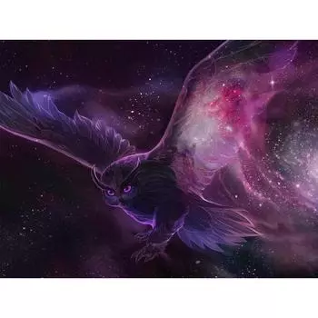 5D DIY Алмазная картина Научная фантастика Сова Набор для вышивки крестом Мозаика Алмазная вышивка Роза Полный круглый/квадратный дрель Украшение дома Round 20x30cm