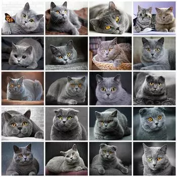 5d Diy Алмазная картина Новая коллекция Кошка Вышивка Мозаика Русская Голубая Животное Квадрат/круглый Домашний Декор Full Round 20x30CM