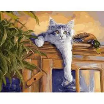 5D DIY Алмазная картина Обезьяна в Хот-Спринге Полная площадь Алмазная вышивка 20X30CM