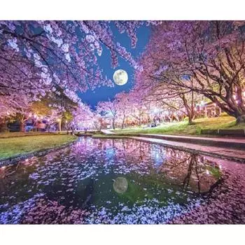 5D DIY Алмазная картина «Оценивая сливы под луной» Алмазная вышивка Полный мозаичный набор Наборы для вышивки крестом Домашний декор Подарки ручной работы Round 20x30cm