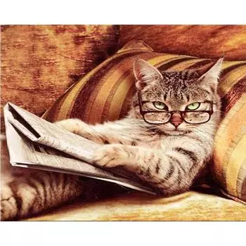 5D Diy Алмазная картина очки кошка Алмазная вышивка крестиком домашний декор подарки ручной работы Round 20x30cm