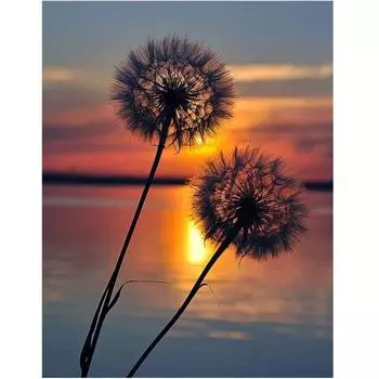 5D DIY Алмазная картина Одуванчик Набор для вышивки крестом Мозаика Алмазная вышивка Роза Полный круглый/квадратный дрель Украшение дома Round 20x30cm