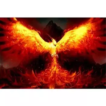 5D Diy Алмазная картина Огонь Феникс Алмазная вышивка Наборы для вышивки крестом Домашний декор Подарок ручной работы Round 20x30cm