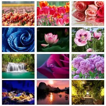 5D DIY Алмазная картина Окрашенная мозаика Вышивка Крестом Вышивка Ремесла Украшение 20X30CM красный