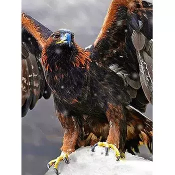 5D DIY Алмазная картина Орел закат Вышивка крестиком 5D Домашний декор 20X30CM