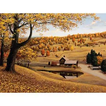 5D Diy Алмазная картина Осенний пейзаж Принцесса Алмазная вышивка Крестом Домашний декор Подарки ручной работы Round 20x30cm