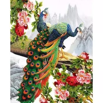 5D DIY Алмазная картина Павлин Набор для вышивки крестом Мозаика Алмазная вышивка Роза Полный круглый/квадратный дрель Украшение дома Round 20x30cm