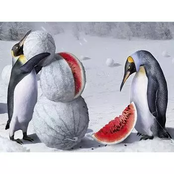 5D DIY Алмазная картина Пингвин и арбуз Набор для вышивки крестом Мозаика Алмазная вышивка Роза Полный круглый/квадратный дрель Украшение дома Round 20x30cm