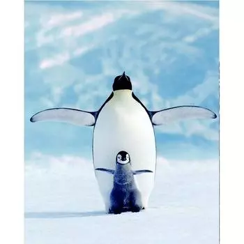 5D DIY Алмазная картина пингвины Вышивка Крестом Горный хрусталь Мозаика Домашний декор 20X30CM