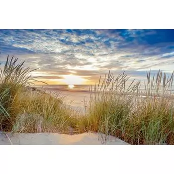 5D DIY Алмазная картина Пляжная прерия Алмазная вышивка Полные наборы для мозаики Вышивка крестом Домашний декор Подарки ручной работы Round 20x30cm