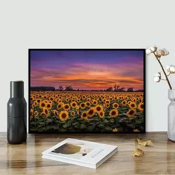 5D DIY Алмазная картина Подсолнечное поле Набор для вышивки крестом Мозаика Алмазная вышивка Полный круглый квадратный дрель Украшение дома Round 30x40cm