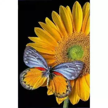 5D DIY Алмазная картина Подсолнух Бабочка Алмазная вышивка Животное Домашний декор Мозаика Цветы ручной работы Full Round 20x30CM