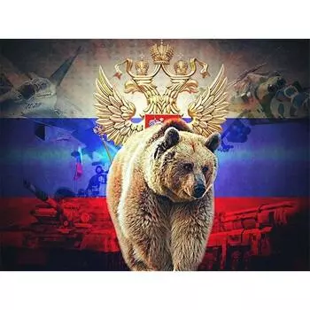 5D DIY Алмазная картина Полная круглая дрель Национальное сокровище Медведь Алмазная вышивка 20X30CM