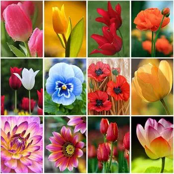 5D DIY Алмазная картина, полная круглая дрель, цветок, набор для вышивки крестом, мозаика, алмазная вышивка, роза, настенное искусство, украшение дома Full Round 20x30CM