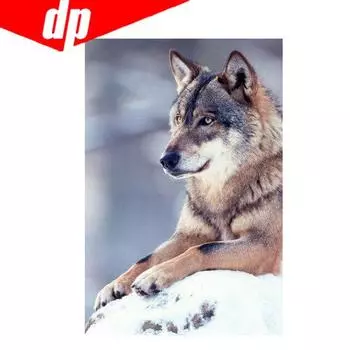 5D DIY Алмазная картина Полная невеста Алмазная вышивка Крест Стежок Алмазная мозаика Украшение дома 20X30