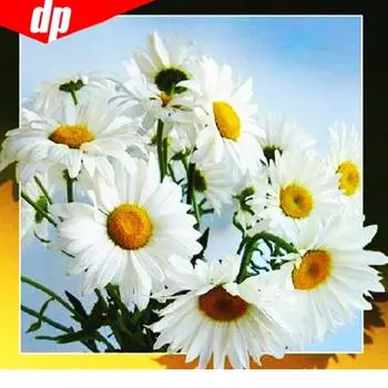 5D DIY Алмазная картина Полный дисплей Цветочная вышивка Продажа Алмазная мозаика Картинки 30x30CM