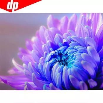 5D DIY Алмазная картина Полный круглый цветок Rhinestone Картина Вышивка Продажа Алмаз 20X30