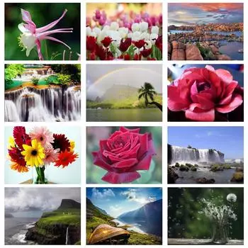 5D DIY Алмазная картина Полный круглый цветок мака Комплект Алмазная вышивка Мозаика Украшения Главная 20X30CM красный