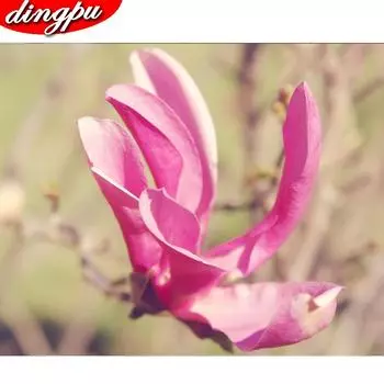 5D DIY Алмазная картина Полный круглый дрель Цветок Птица Вышивка Крестом Подарок Украшение дома 20X30CM