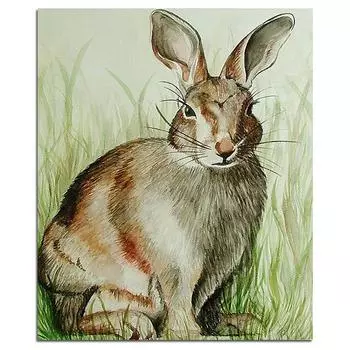 5D DIY Алмазная картина Полный круглый кролик Алмазная вышивка 20X30CM