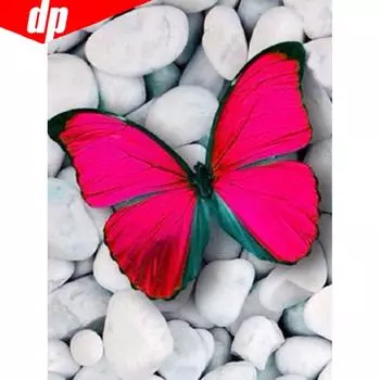 5D DIY Алмазная картина Полный круглый животных Бабочка Горный хрусталь Картинки Вышивка 20X30