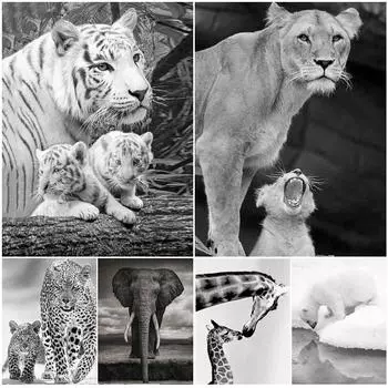 5D Diy Алмазная картина Полный квадрат Черный Белый Животные Алмазная вышивка Лев Тигр Мозаика Картина со стразами Декор Подарок Full Round 20x30CM