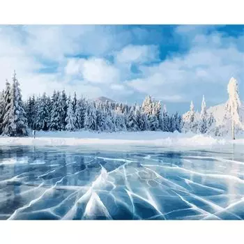 5D DIY Алмазная картина Полный квадратный дрель Алмазная мозаика Зимний пейзаж Вышивка крестиком Алмазная вышивка Домашний декор Full Round 20X30CM