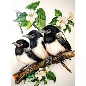 5D DIY Алмазная картина Птица на ветке Алмазная Алмазная вышивка Полный мозаичный набор Наборы для вышивки крестом Домашний декор Подарки ручной работы Round 20x30cm