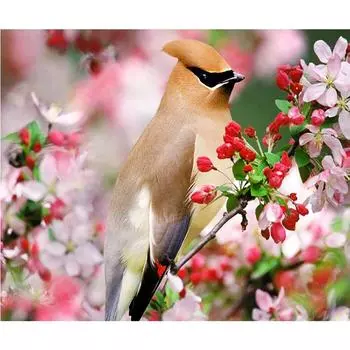 5D DIY Алмазная картина Птица Вышивка Крестом Горный хрусталь Мозаика Домашний декор 20X30CM