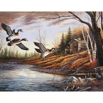 5D DIY Алмазная картина Птицы Пара Вышивка Мозаика Вышивка крестом Горный хрусталь Украшение 20X30CM