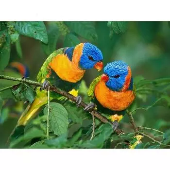 5D DIY Алмазная картина Птицы Вышивка Мозаика Вышивка крестом Горный хрусталь Украшение 20X30CM