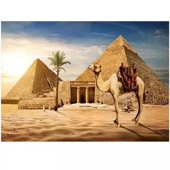 5D Diy Алмазная картина Пустыня Верблюд Алмазная вышивка Крестом Домашний декор Подарки ручной работыjavascript: Round 20x30cm