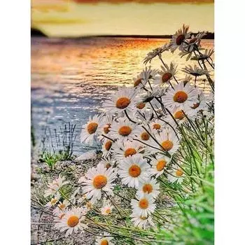 5d Diy Алмазная картина Ромашки Цветы Полный Круглый Алмазная вышивка Мозаика Озеро Пейзаж Арт Комплект Домашний Декор Full Round 20x30CM