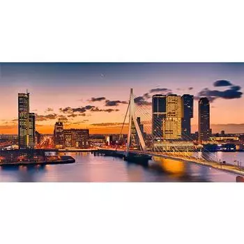 5D DIY Алмазная картина Роттердамский мост Алмазная вышивка Полный мозаичный набор Наборы для вышивки крестом Домашний декор Подарки ручной работы Round 20x30cm