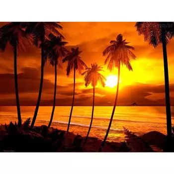 5D Diy Алмазная картина Ручная работа Живописный закат Вышивка крестом Алмазные наборы Алмазная вышивка 20X30CM