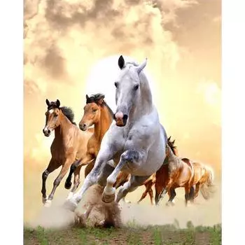 5D Diy Алмазная картина Ручная работа Животное Лошадь Вышивка крестиком Алмазная вышивка Украшение дома 20X30CM