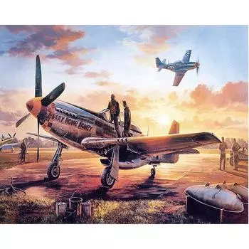 5D Diy Алмазная картина Самолет Война Алмазная вышивка Крест Стежок Главная Декор Подарки ручной работы Round 20x30cm