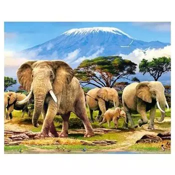 5D DIY Алмазная картина Семья слонов Набор для вышивки крестиком Мозаика Алмазная вышивка Роза Полный круглый/квадратный дрель Украшение дома Round 20x30cm