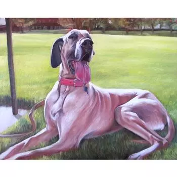 5D Diy Алмазная картина Щенок смотрит вверх Алмазная вышивка Крестом Домашний декор Подарки ручной работы Round 20x30cm