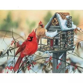 5D DIY Алмазная картина Симпатичные птицы Вышивка Мозаика Вышивка крестом Горный хрусталь Украшение 20X30CM