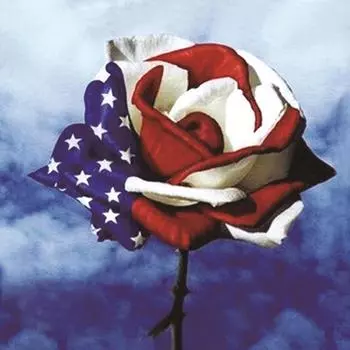 5D Diy Алмазная картина Синие Красные Белые Розы Алмазная вышивка Полный набор для вышивки крестом в стиле аниме Домашний декор Подарок ручной работы Round 25x25cm