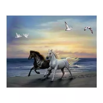 5D Diy Алмазная картина Скачущая лошадь Алмазная вышивка Крестом Домашний декор Подарки ручной работы Round 20x30cm