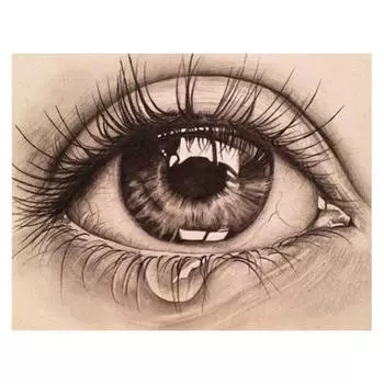 5D Diy Алмазная картина Слезливые глаза Алмазная вышивка Крестом Домашний декор Подарки ручной работы Round 20x30cm