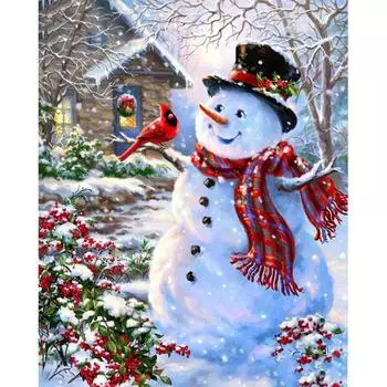5D DIY Алмазная картина Снеговик птица Вышивка крестиком 3D Домашний декор 20X30CM